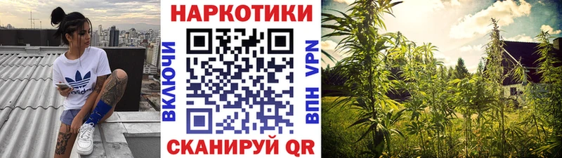 Купить Курск Амфетамин  Альфа ПВП  Галлюциногенные грибы  Cocaine  Марихуана 