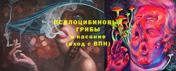 шишки Богданович