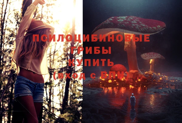 амфетамин Богородицк