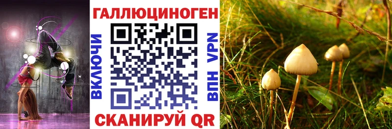 Галлюциногенные грибы прущие грибы Курск